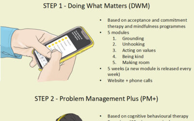 WP4 Study Protocol Image (Copyright - Mediavilla et al. 2022. Author - Miguel García-Amado) - Copyright
